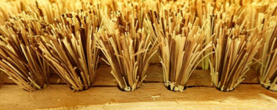 磨砂膏會發霉的原因