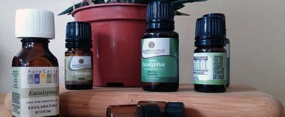 茶樹精油怎么用