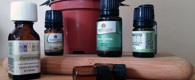 精油的正確使用方法