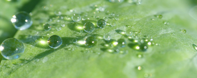 去除紅痘印的辦法有哪些