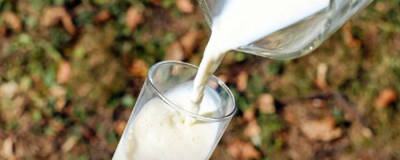 喝純牛奶會長胖嗎