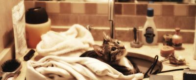 面霜的正確使用方法