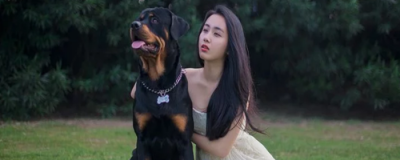 1345183111308 怎么快速瘦腰