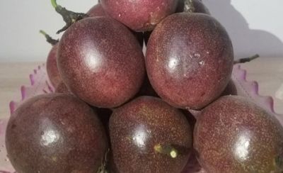 1403225111311 吃百香果多久能美白