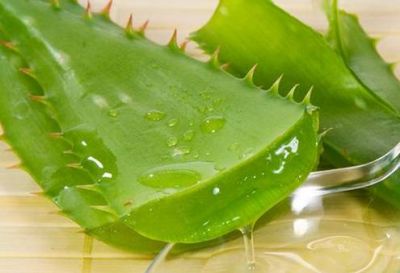 新鮮的蘆薈汁可以直接涂抹在臉上嗎
