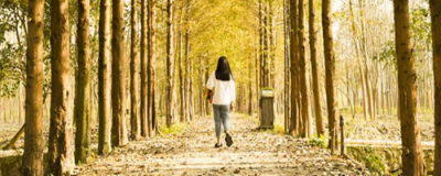 曬傷后怎么處理蘆薈膠