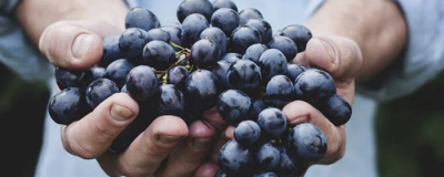 1710475511308 秋天吃什么水果對皮膚好