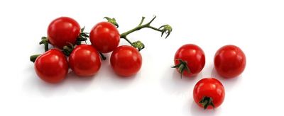 吃小番茄可以減肥嗎
