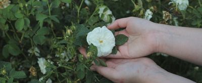 手皮膚發黃是什么原因