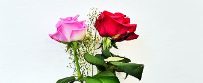 四十歲女人如何保養