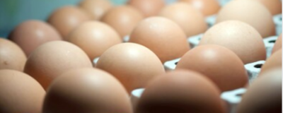 1826059911308 怎樣腌咸鴨蛋