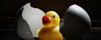 1826096111308 怎樣腌咸鴨蛋