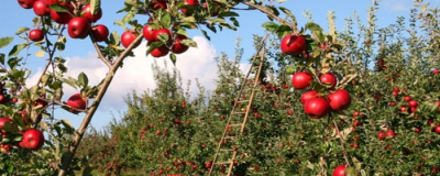 壓縮面膜使用方法