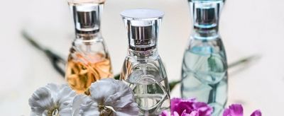 1842025911310 香水的正確使用方法