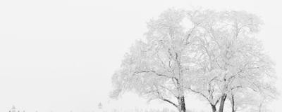 冬天為什么使用面霜