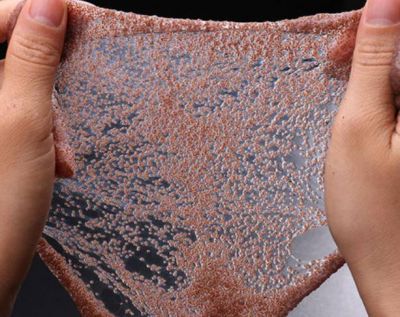 2101432211311 海藻面膜怎么泡出發芽