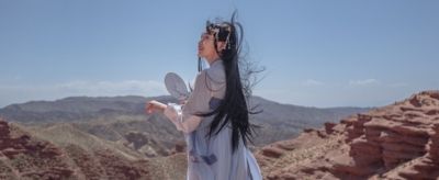 2127569111310 頭發毛躁蓬松怎么辦