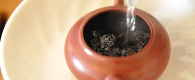 苦丁茶能減肥嗎