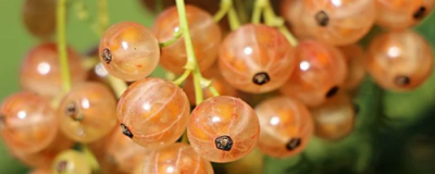 怎樣可以祛斑啊