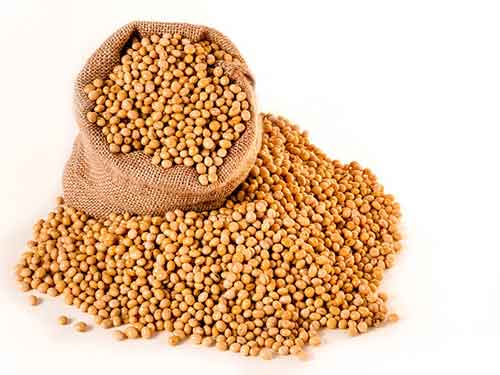 子宮卵巢保養吃什么最好