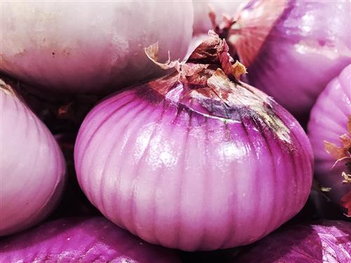 抗衰老的食物都有哪些