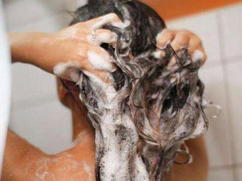 8_2019710115330320_4 每天洗頭好不好