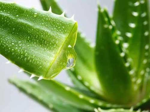 什么去痘印效果最好用