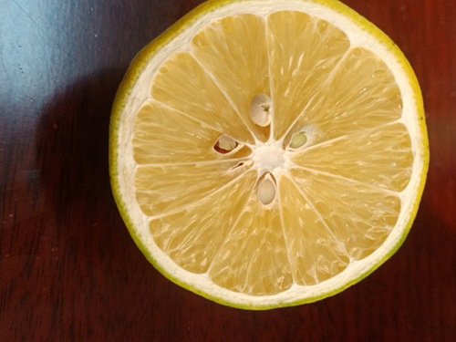 8_20201117100925664_4 抗衰老的食物排行榜10強