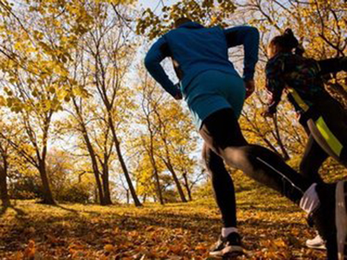 秋季減肥的優勢和好處