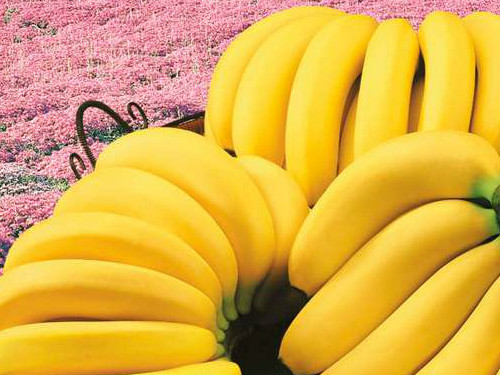 8_20181125121608320_4 油性皮膚隔離霜