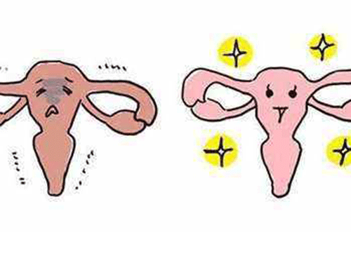 保養卵巢吃什么最好