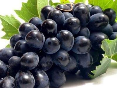 美容養顏的水果