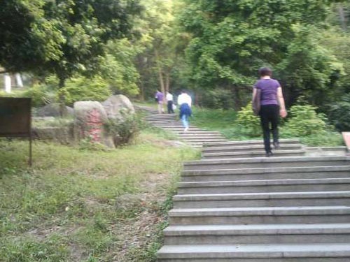 8_201949165254431_4 如何減肥腿上的肉最有效