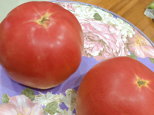 額頭長黃褐斑什么原因