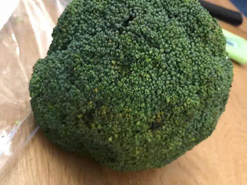 10種頂級抗衰老食物推薦