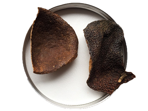 陳皮減肥法怎么用